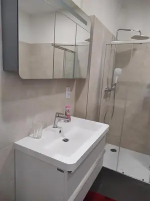 a bathroom with a white sink and a shower at Enter City Center in Prague