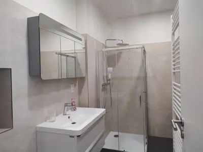 a bathroom with a sink and a shower at Enter City Center in Prague