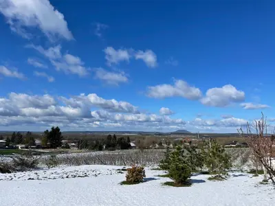 a snowy field with christmas trees on it at Ubytování U Vinice in Mělník