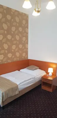 a bedroom with two beds and a wall with flowers at Novoměstský hotel in Prague