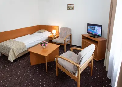 a hotel room with a bed and a television at Novoměstský hotel in Prague