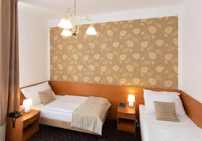 a bedroom with two beds and a wall with flowers at Novoměstský hotel in Prague