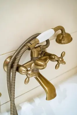 a brass bathroom sink faucet with a snake design at Magnificent King Suite in Prague