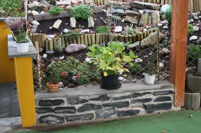 a garden with potted plants on a stone wall at Letní rekreační středisko Schiffler Miroslav in Samopše