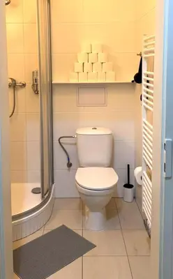 a small bathroom with a toilet and a shower at Side Street Apartments in Prague