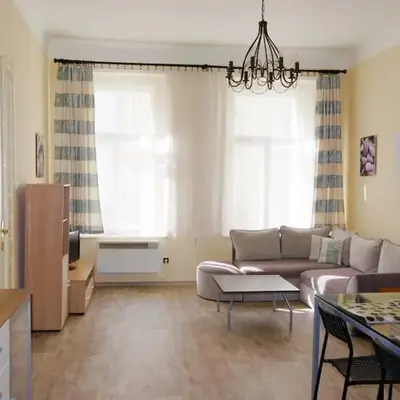 Nice big apartment in the city center