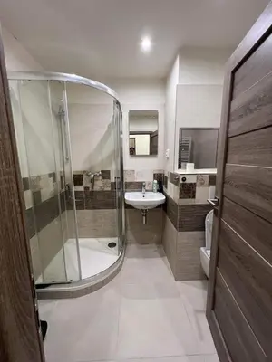 a bathroom with a shower and a sink at Beroun apartments in Beroun