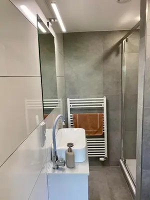 a bathroom with a sink and a shower at Apartmán - E - Vyhlídka nad řekou in Zdiby