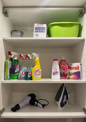 a refrigerator shelf with cleaning products and a green bowl at Garden Park Studio in Prague