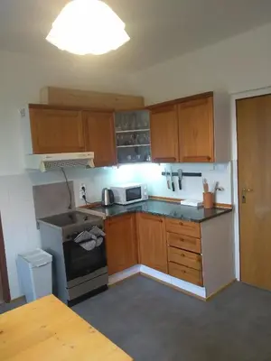 a small kitchen with wooden cabinets and a microwave at Hrnčírna in Kněževes