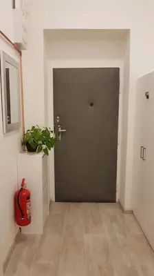 a hallway with a door and a potted plant at Finnem Home Rentals in Prague