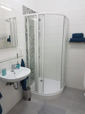 a bathroom with a shower and a sink at Finnem Rentals Florenc in Prague