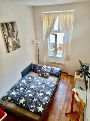 a bedroom with a bed in a room with a window at Karlin Cozy Studio in Prague