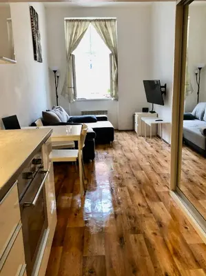 a living room with a couch and a table at Karlin Cozy Studio in Prague