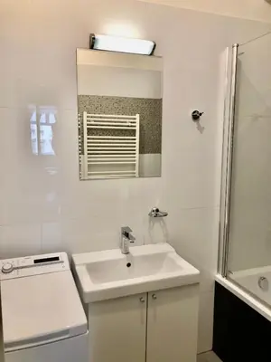 a white bathroom with a sink and a shower at Karlin Cozy Studio in Prague