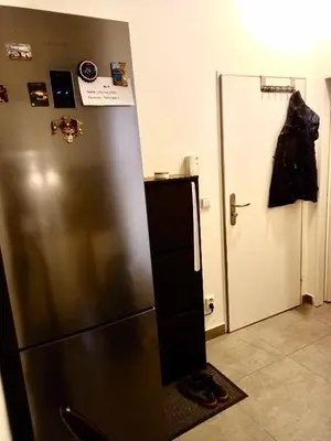 a stainless steel refrigerator in a room with a door at Karlin Cozy Studio in Prague