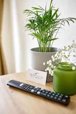 a remote control sitting on a table with a potted plant at Residence 44 in Prague
