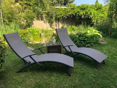 two chairs sitting in the grass in a yard at Apartmán U jezírka in Velké Přílepy