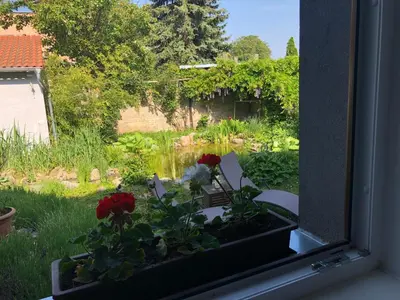 a window with a flower pot with flowers in it at Apartmán U jezírka in Velké Přílepy