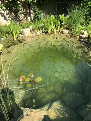 a pool of water with lilies in a garden at Apartmán U jezírka in Velké Přílepy