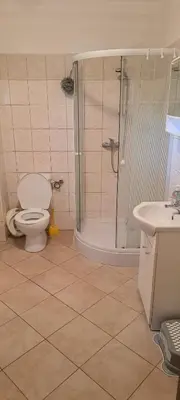 a bathroom with a shower and a toilet and a sink at Domek u rybníka in Schloss Bösig