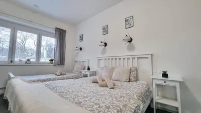 two beds in a bedroom with white walls and windows at Finnem Rentals Jičínská in Prague