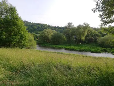 a river in a field with grass and trees at Chatrč pod Babou in Křivoklát