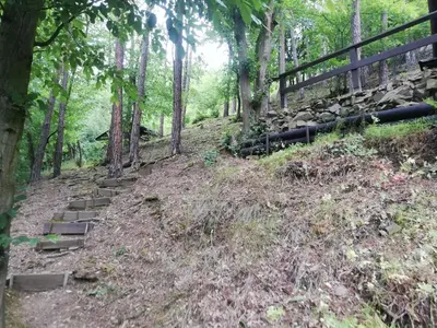 a set of stairs on a hill in the woods at Chatrč pod Babou in Křivoklát