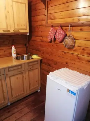 a kitchen with a refrigerator and a sink at Chatrč pod Babou in Křivoklát