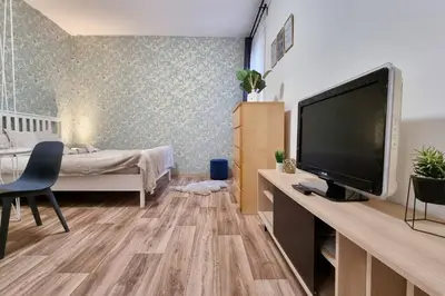 a living room with a large television and a bedroom at Finnem Rentals Sokolovská in Prague