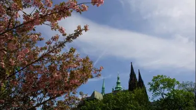 a building with a steeple in the background with a tree at Apartment Sedlčanská - You Will Save Money Here - equipped with antique furniture in Prague