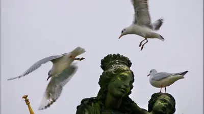 a statue with seagulls around it and birds flying around it at Apartment Sedlčanská - You Will Save Money Here - equipped with antique furniture in Prague