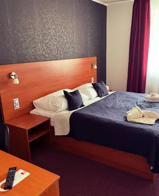 a hotel room with a bed and a table at Hotel ELMA in Srbsko