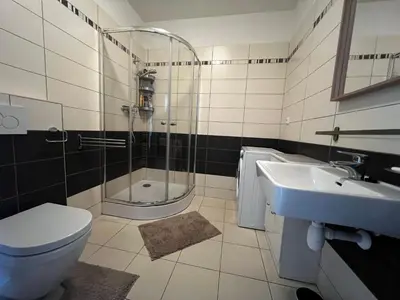 a bathroom with a shower and a toilet and a sink at Apartment Spa and Fontain Poděbrady in Poděbrady