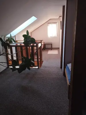 a hallway with a potted plant in a room at Apartmány Audy in Mníšek pod Brdy