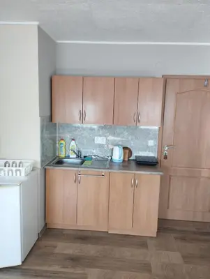 a kitchen with wooden cabinets and a sink at Apartmány Audy in Mníšek pod Brdy