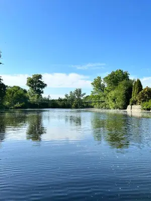 a view of a lake with trees in the background at Chata U Řeky in Volenice
