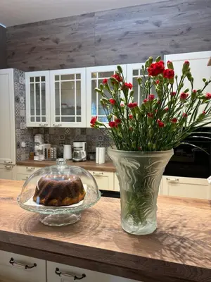 a vase with red flowers on a counter in a kitchen at Apartment Dagmar Burešové in Prague