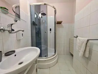 a bathroom with a shower and a sink and a toilet at Flat in Zizkov -101- in Prague