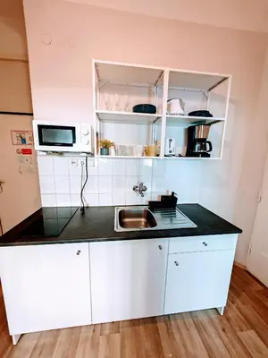 a small kitchen with white cabinets and a sink at Flat in Zizkov -102- in Prague