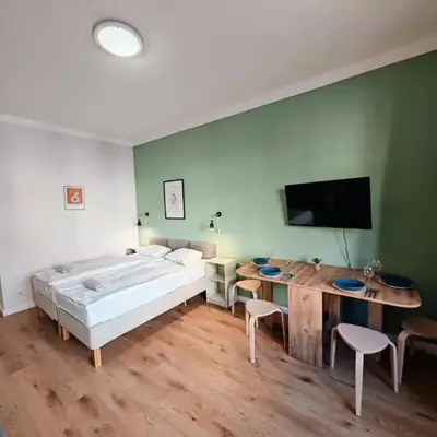 Flat in Zizkov -102-
