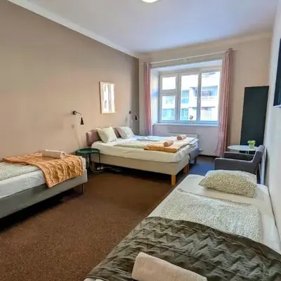 Flat in Zizkov -103-