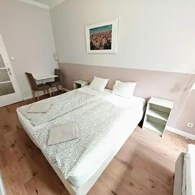 Apartment in Zizkov -201-