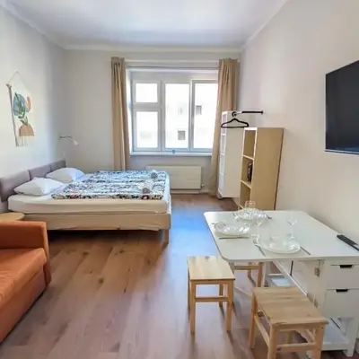 Apartment in Zizkov -202-