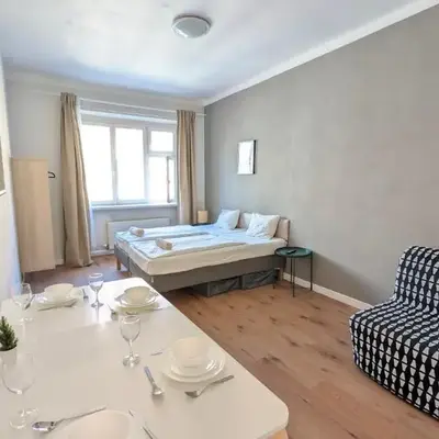 Flat in Zizkov -302-