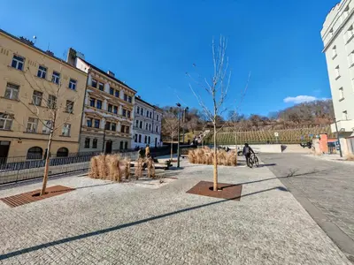 a group of trees in the middle of a street at Flat in Zizkov -303- in Prague