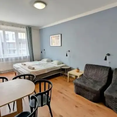 Flat in Zizkov with free underground parking -501-