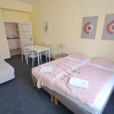 Flat in Zizkov -402-