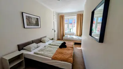 a room with a bed with a black cat sitting on it at Flat in Zizkov -401- in Prague