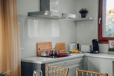 a kitchen with a counter top with a stove at Design Architect Villa with 2 Apartments in Prague